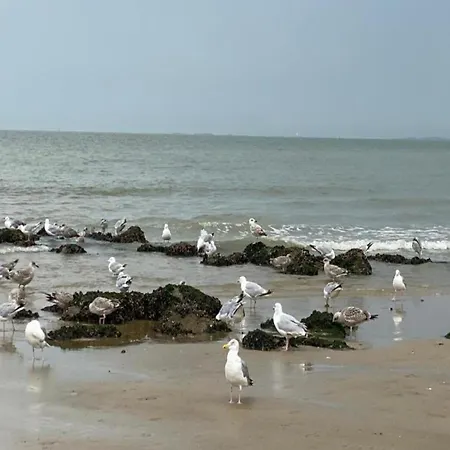 Apartman Spacious Knokke-Heist