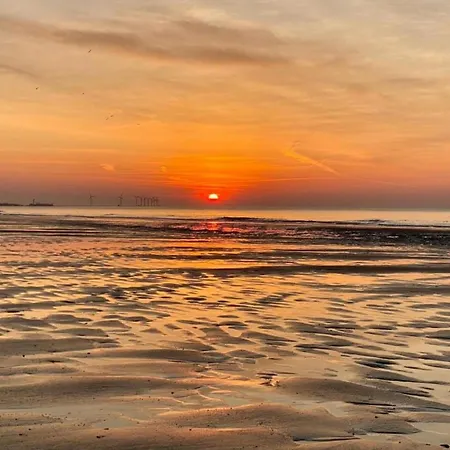 Spacious Апартаменты *