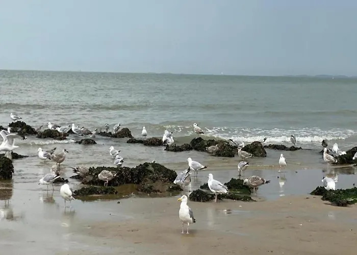 Apartament Spacious Knokke-Heist