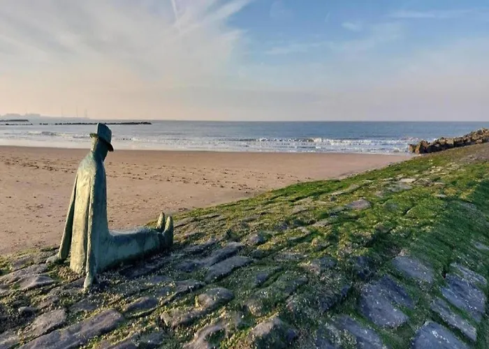 Spacious Apartament *