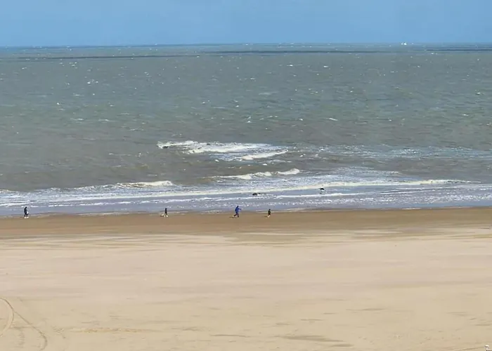 Apartament Spacious *