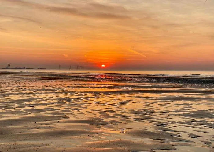 Spacious Apartament *